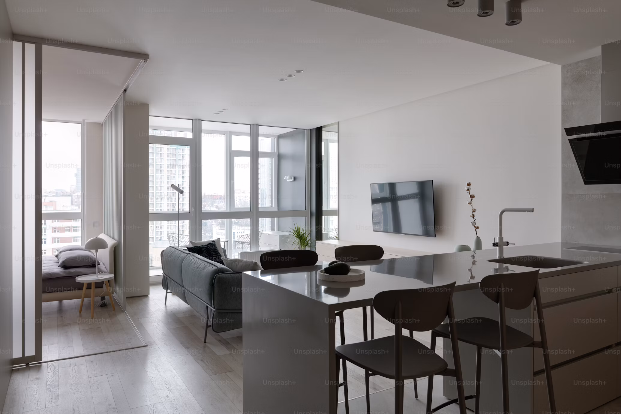 Contemporary Open Space Living & Kitchen
